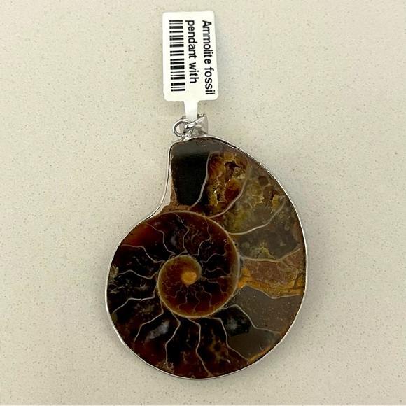 One of A Kind Ammolite Fossil Pendant - Picture 1 of 10
